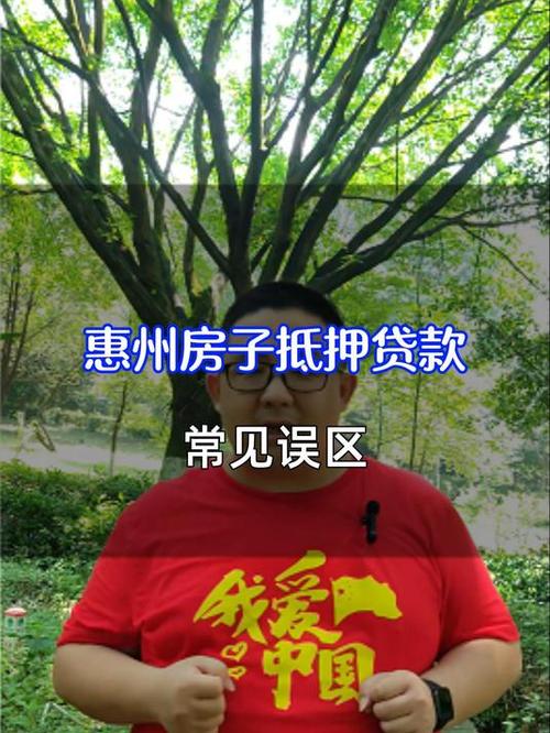 惠州惠城贷款贷款更轻松简单明了(惠州惠阳贷款)